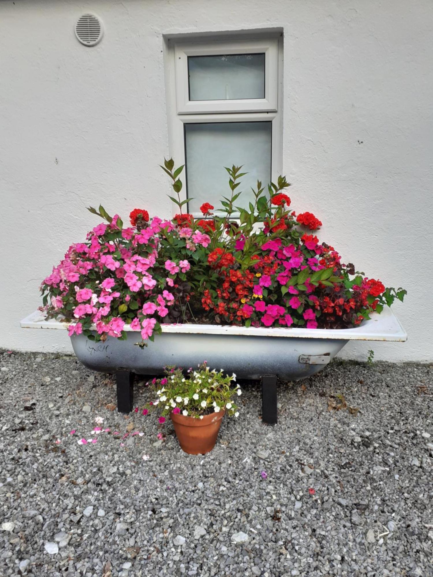 Cummins Cottages Ballycrossaun Exteriör bild