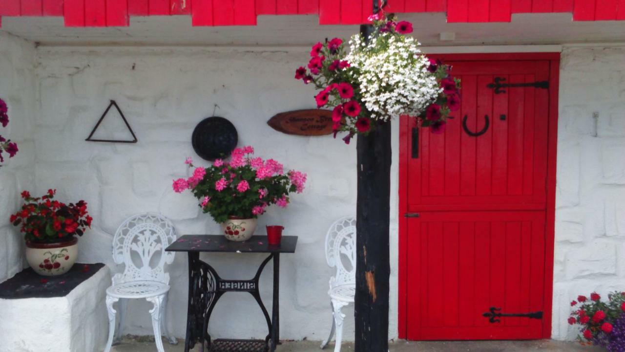 Cummins Cottages Ballycrossaun Exteriör bild