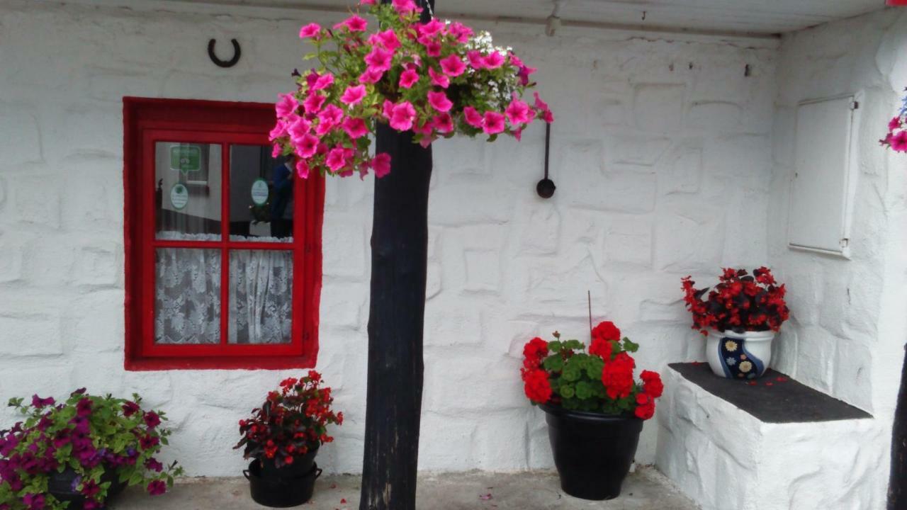 Cummins Cottages Ballycrossaun Exteriör bild